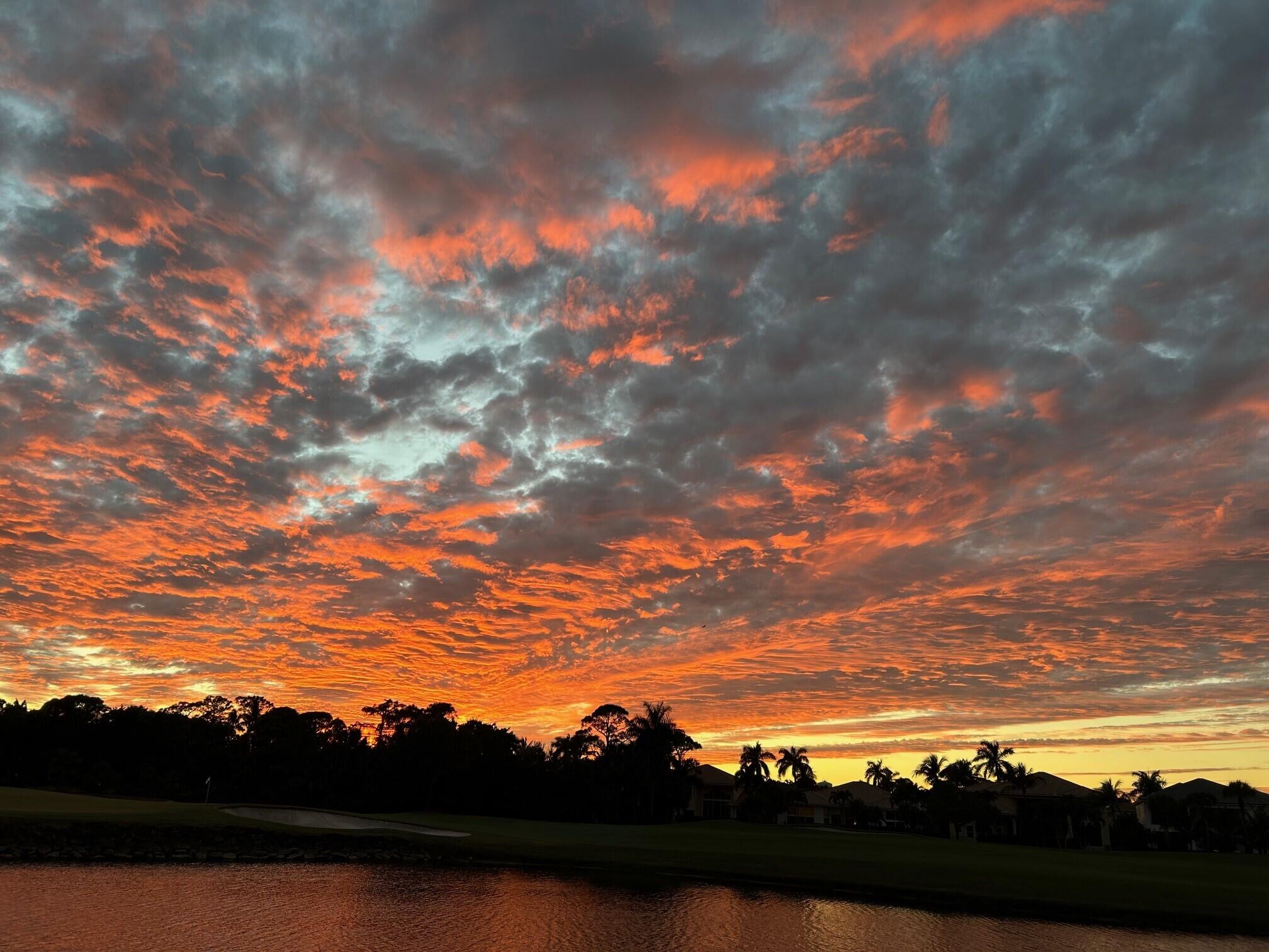 Palm Beach Gardens photo 4