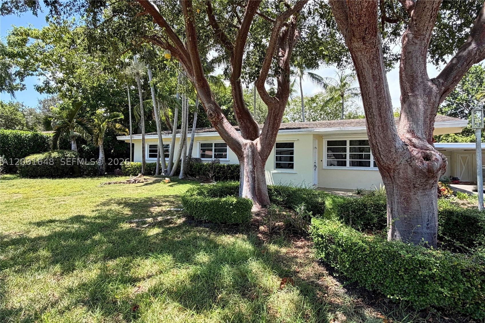 Palmetto Bay photo 5