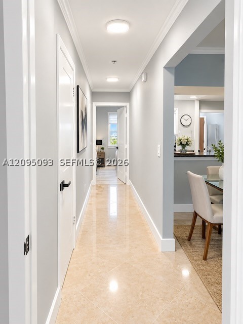 Miami photo 4