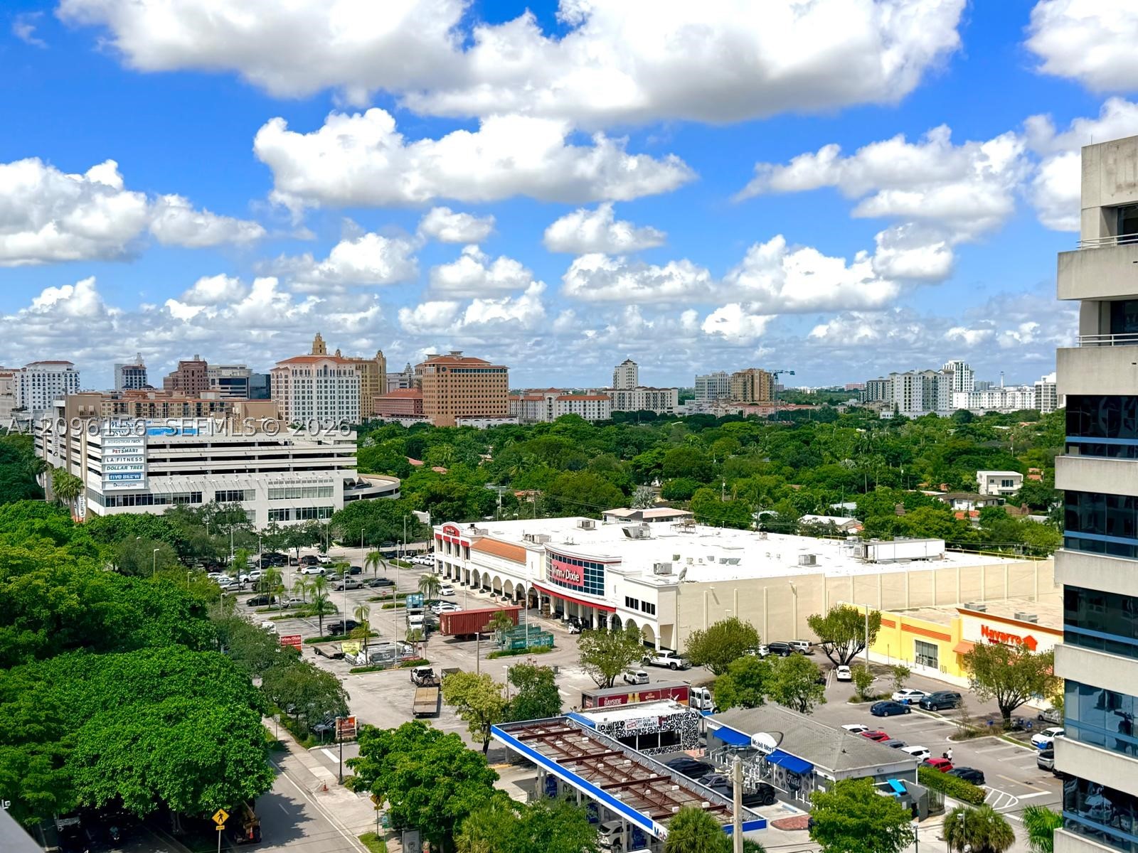 Miami photo 4