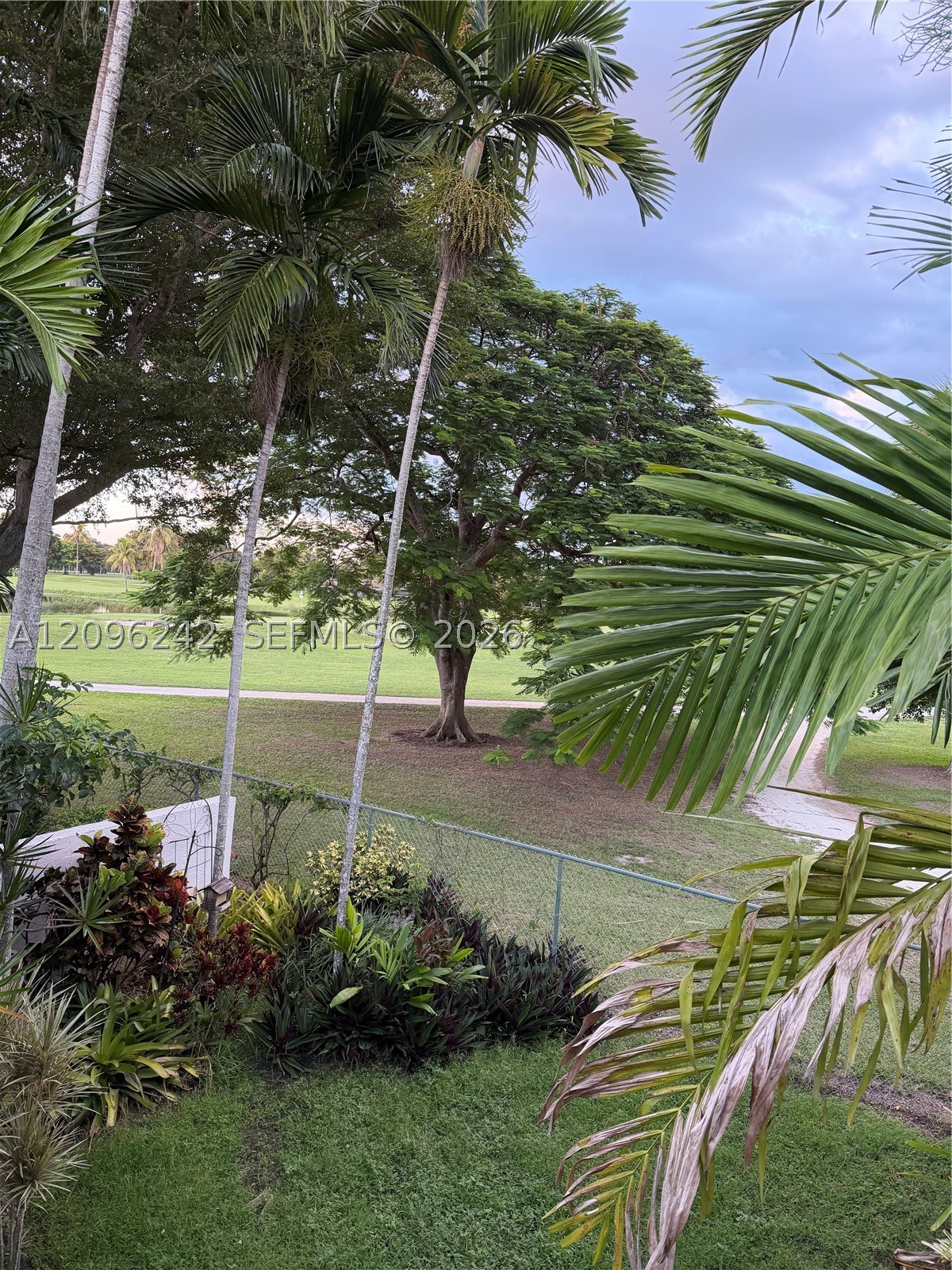 Miami photo 3