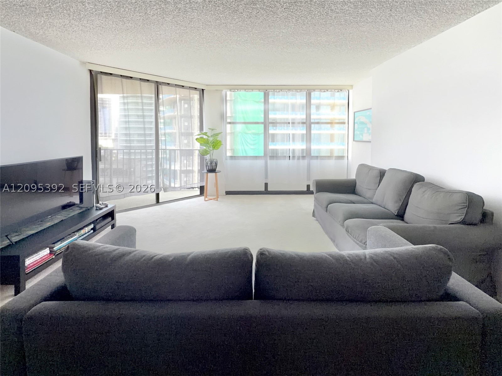Miami photo 3