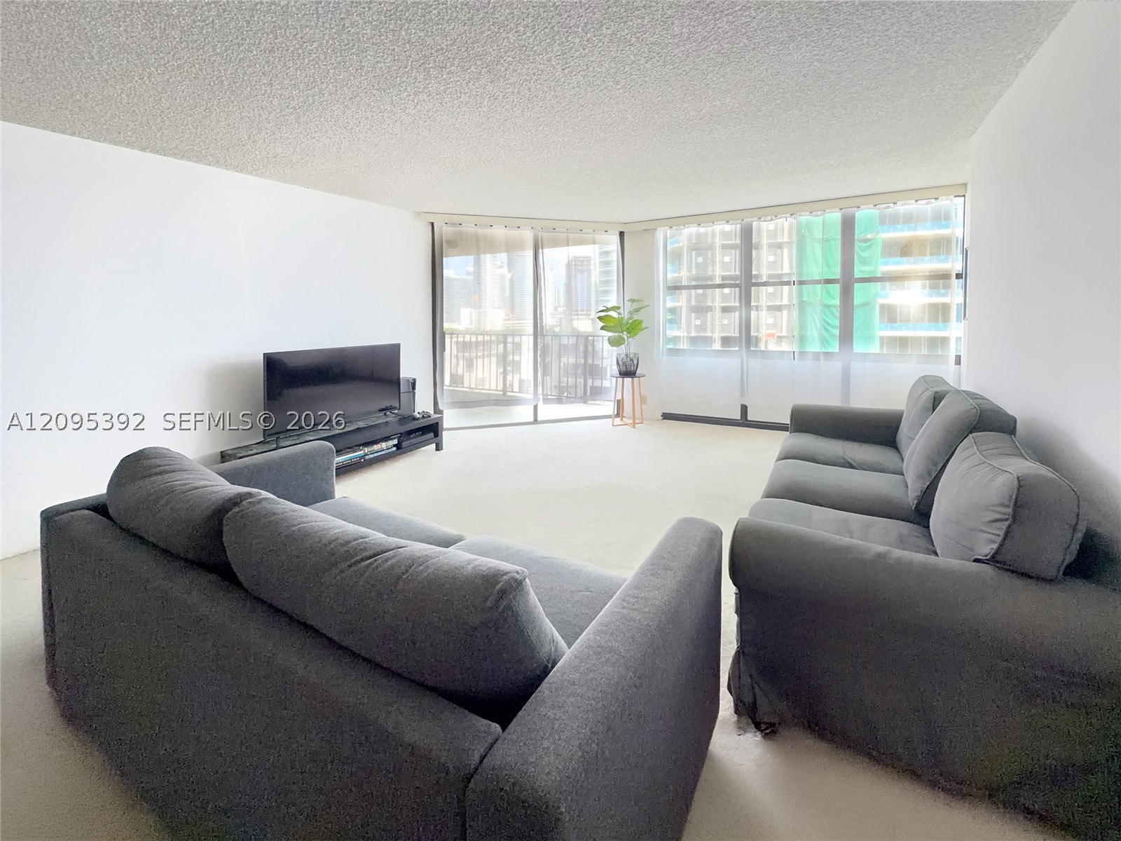Miami photo 4