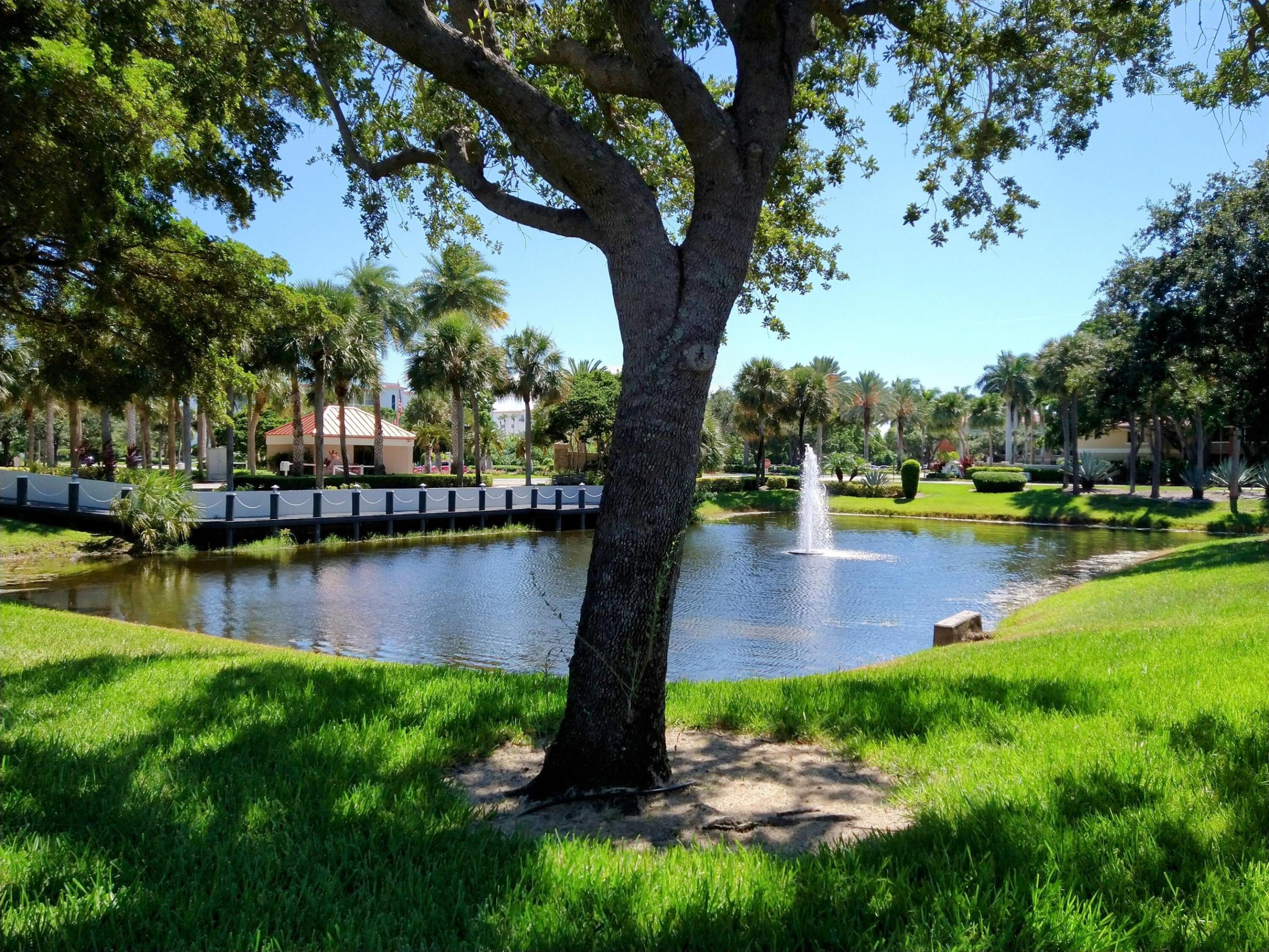 Boca Raton photo 4