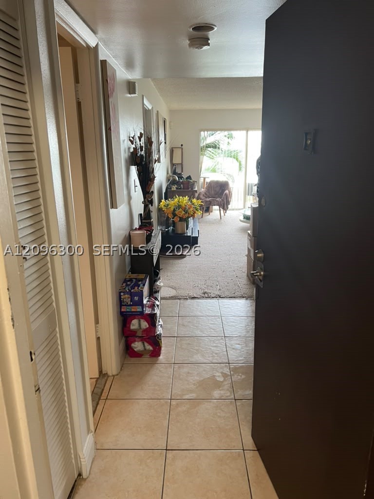 Miami photo 3