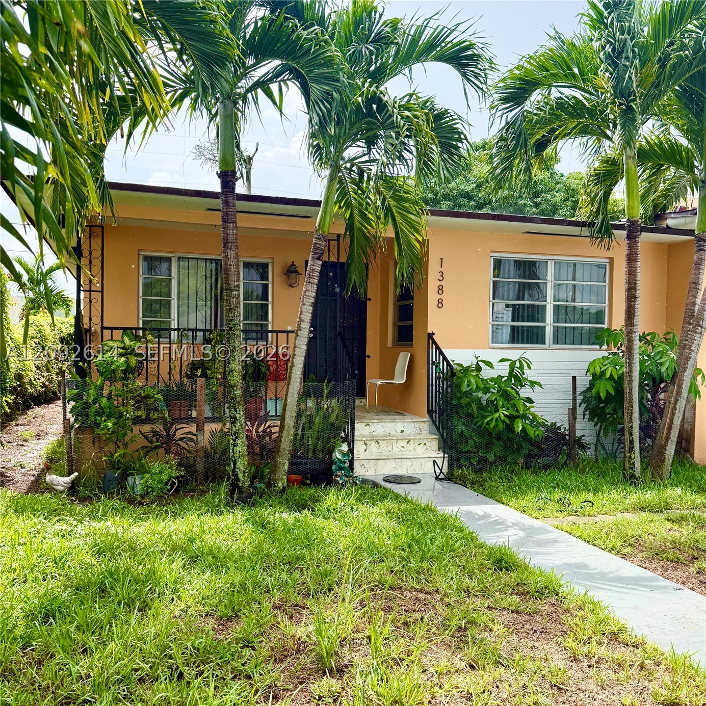 Miami photo 2