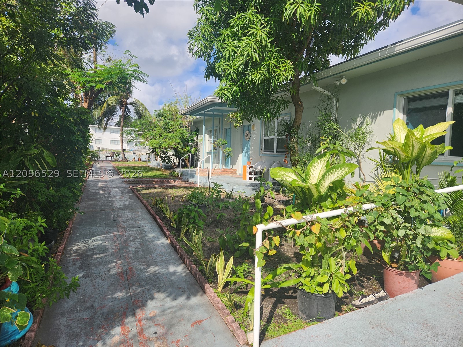 Miami Beach photo 4