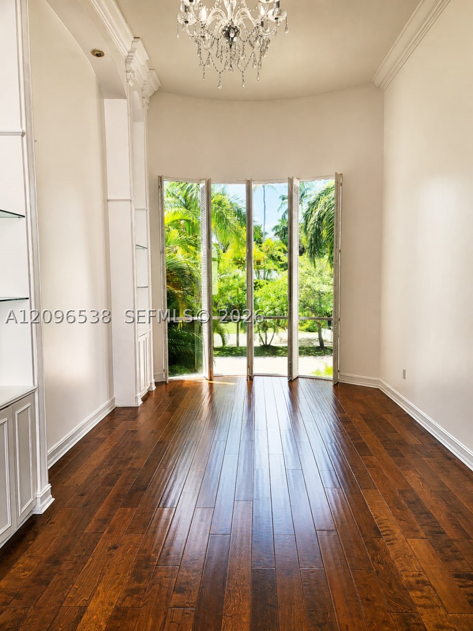 Miami photo 2