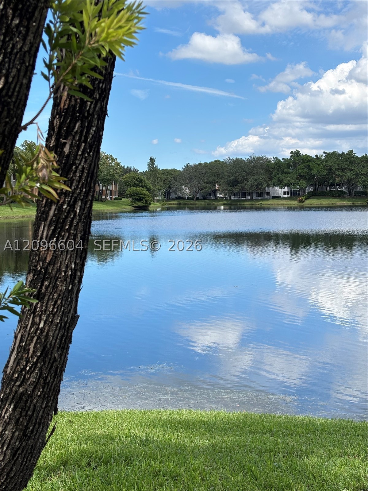 Plantation photo 3