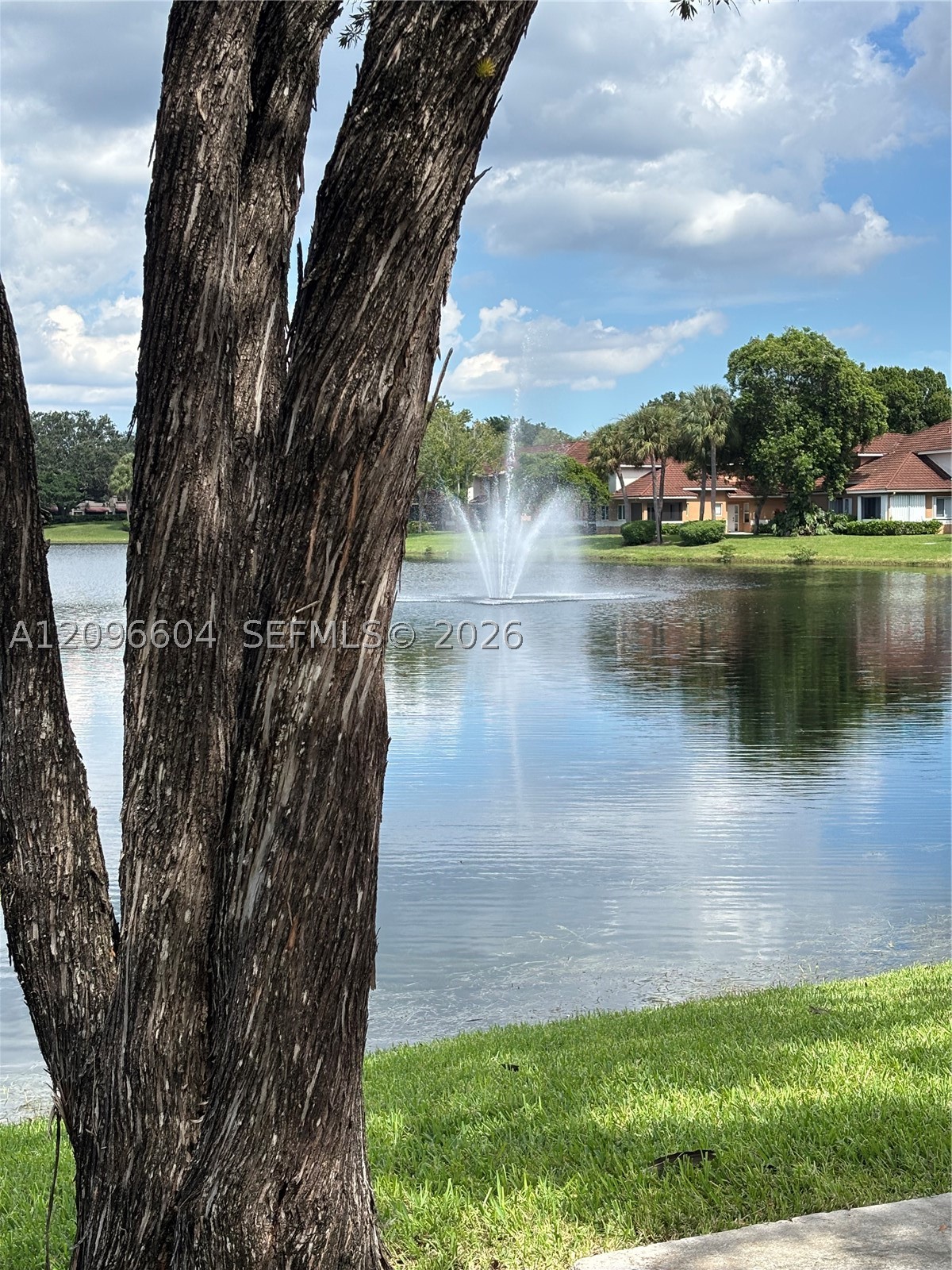 Plantation photo 4