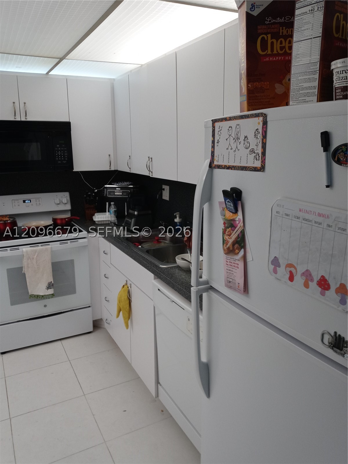 Sunny Isles Beach photo 3