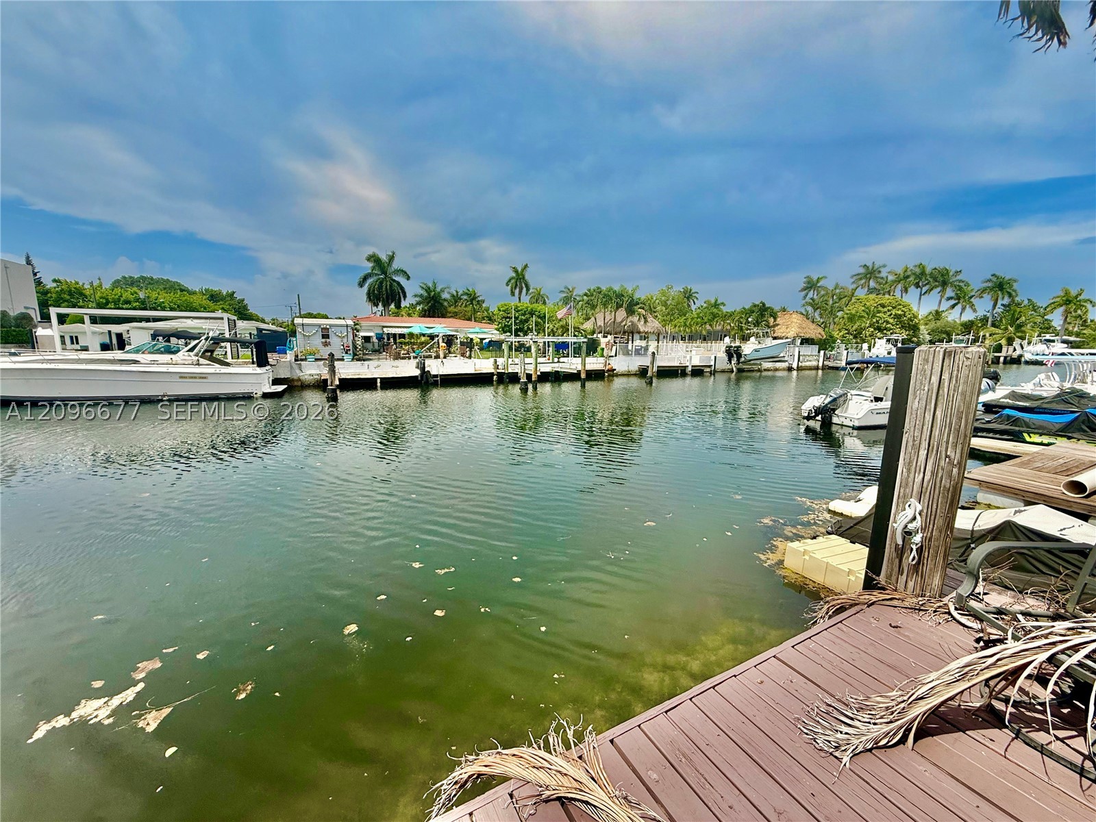 North Miami photo 4