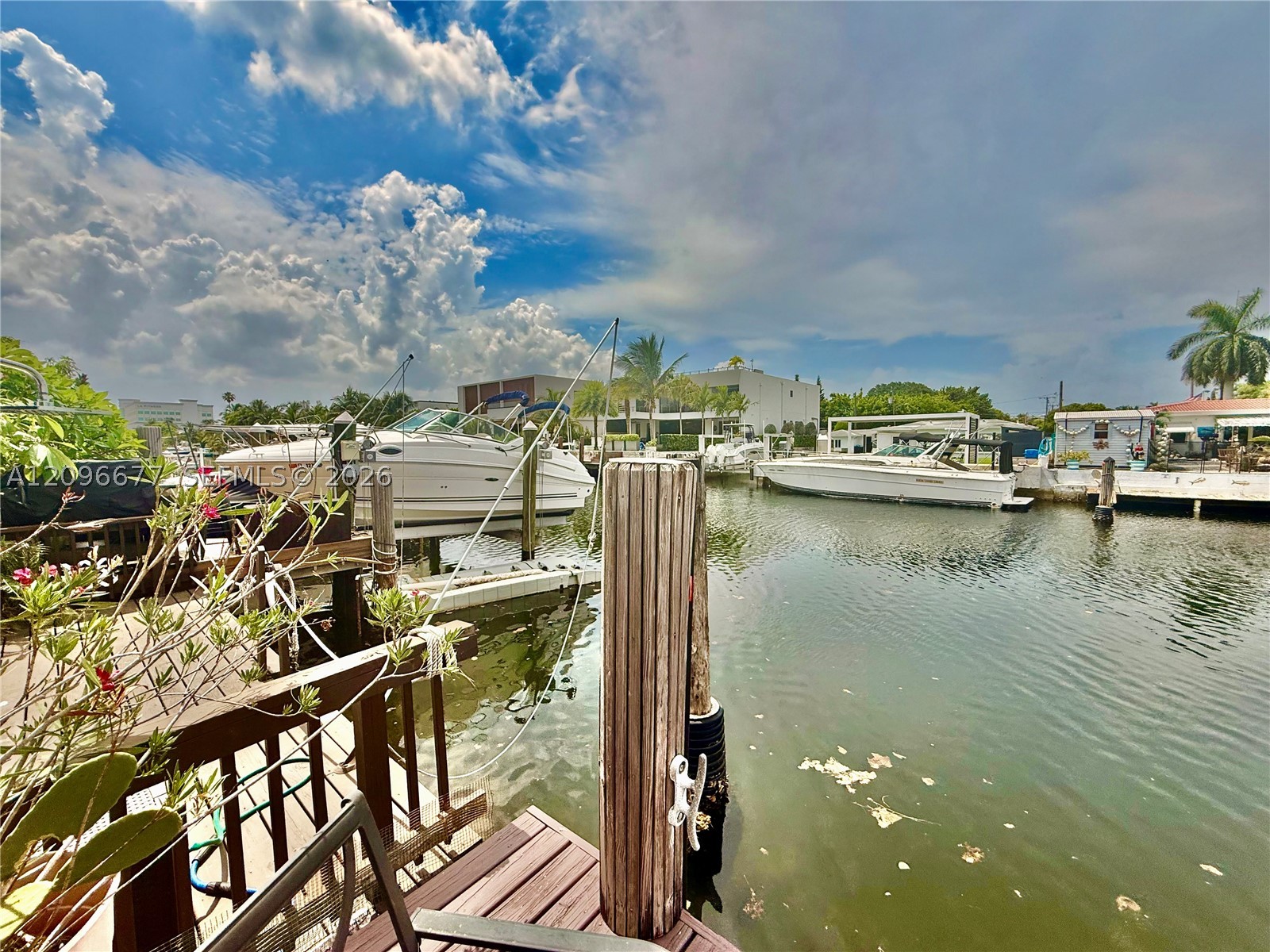 North Miami photo 5