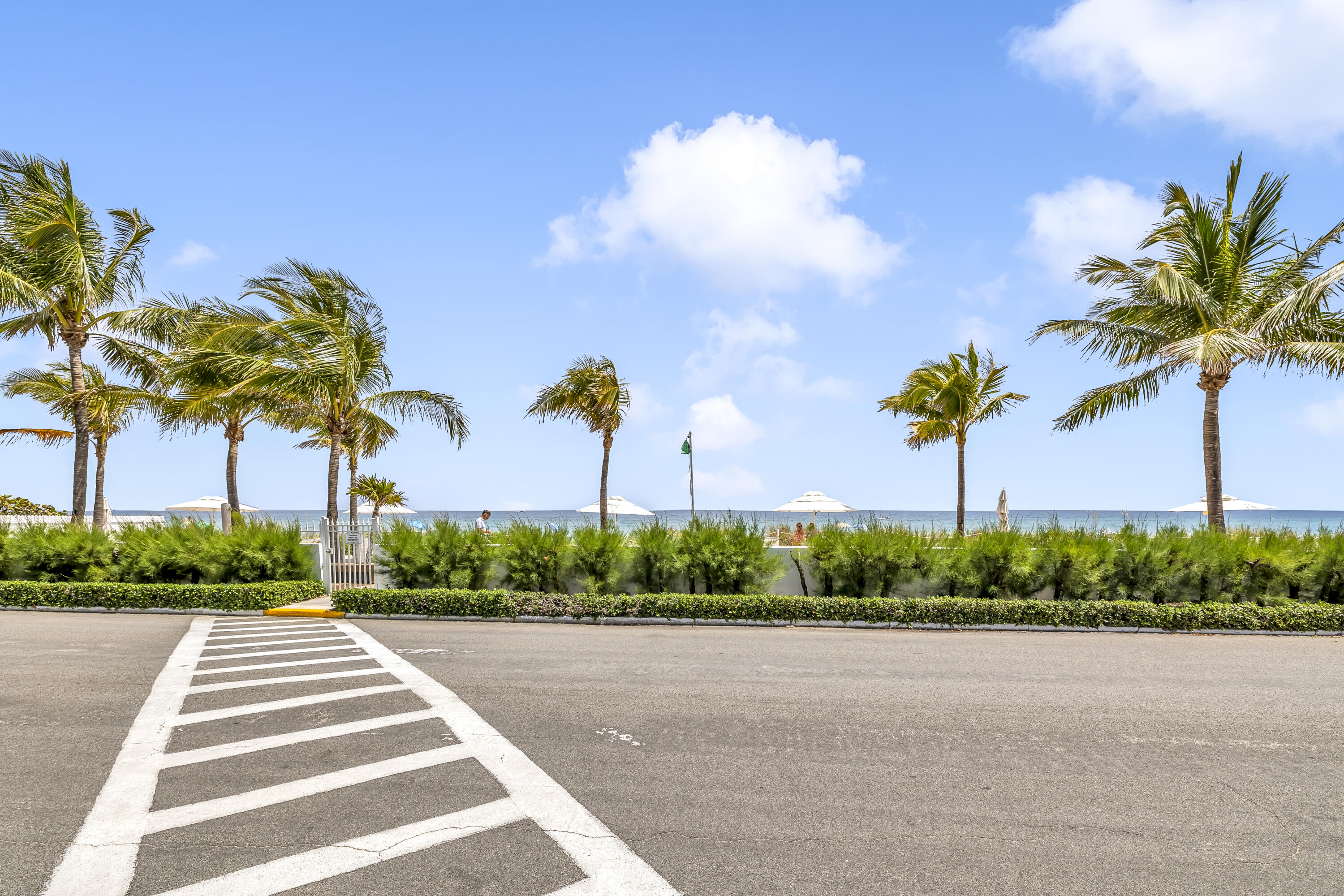 Palm Beach photo 3