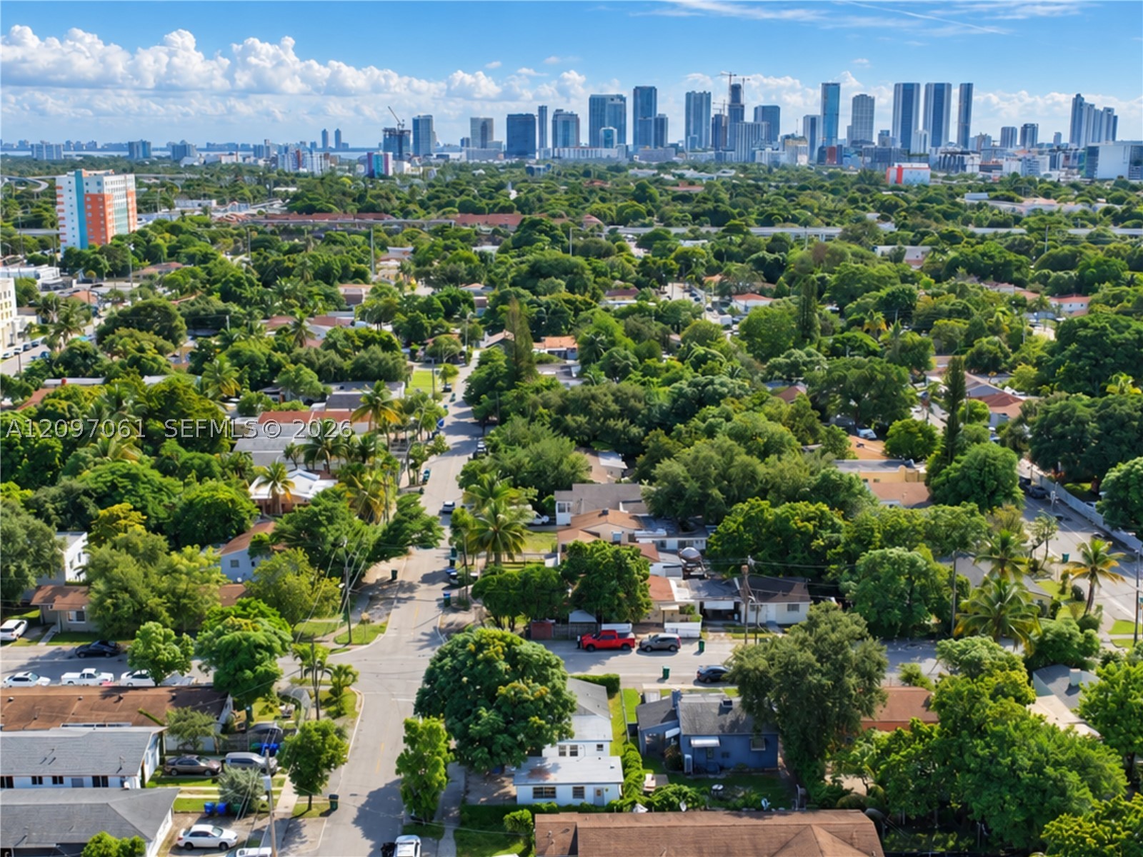 Miami photo 5