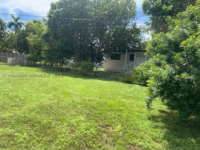 Miami photo 5