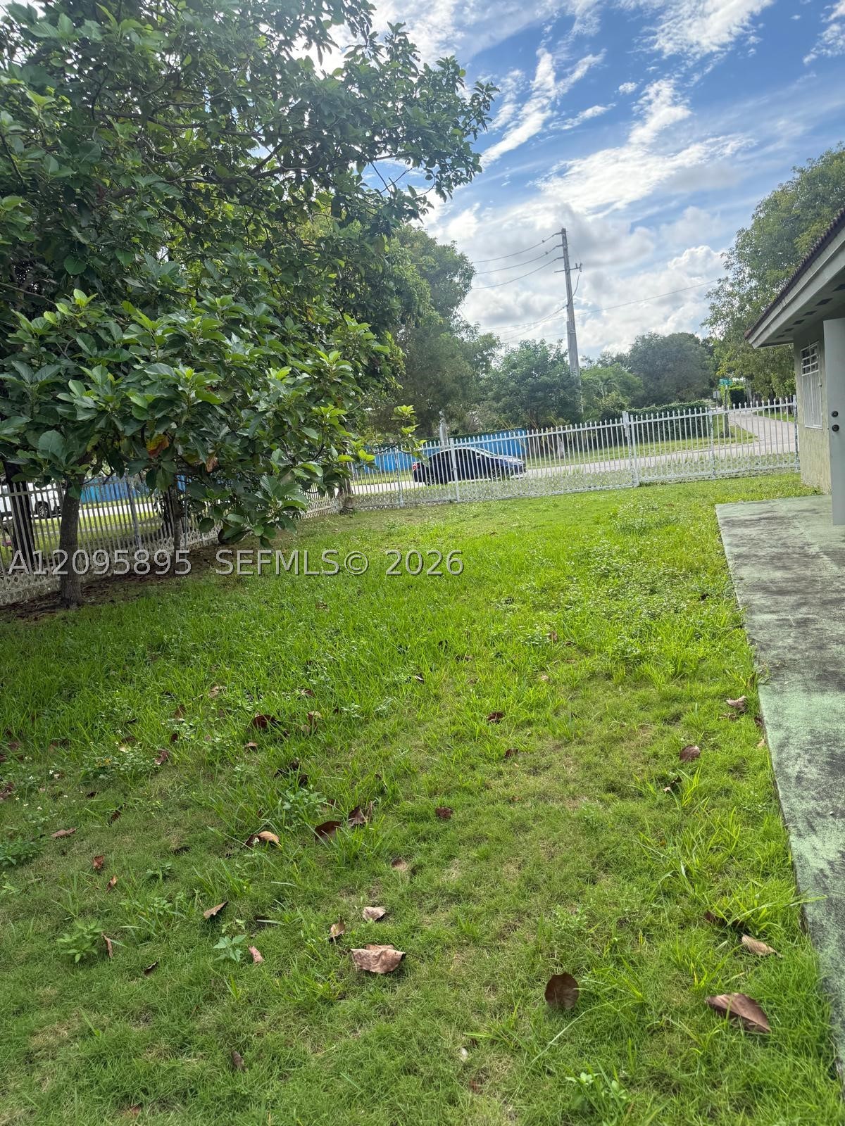Miami photo 3