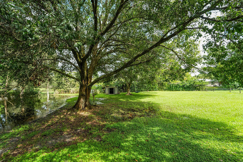 MLS listing photo 2