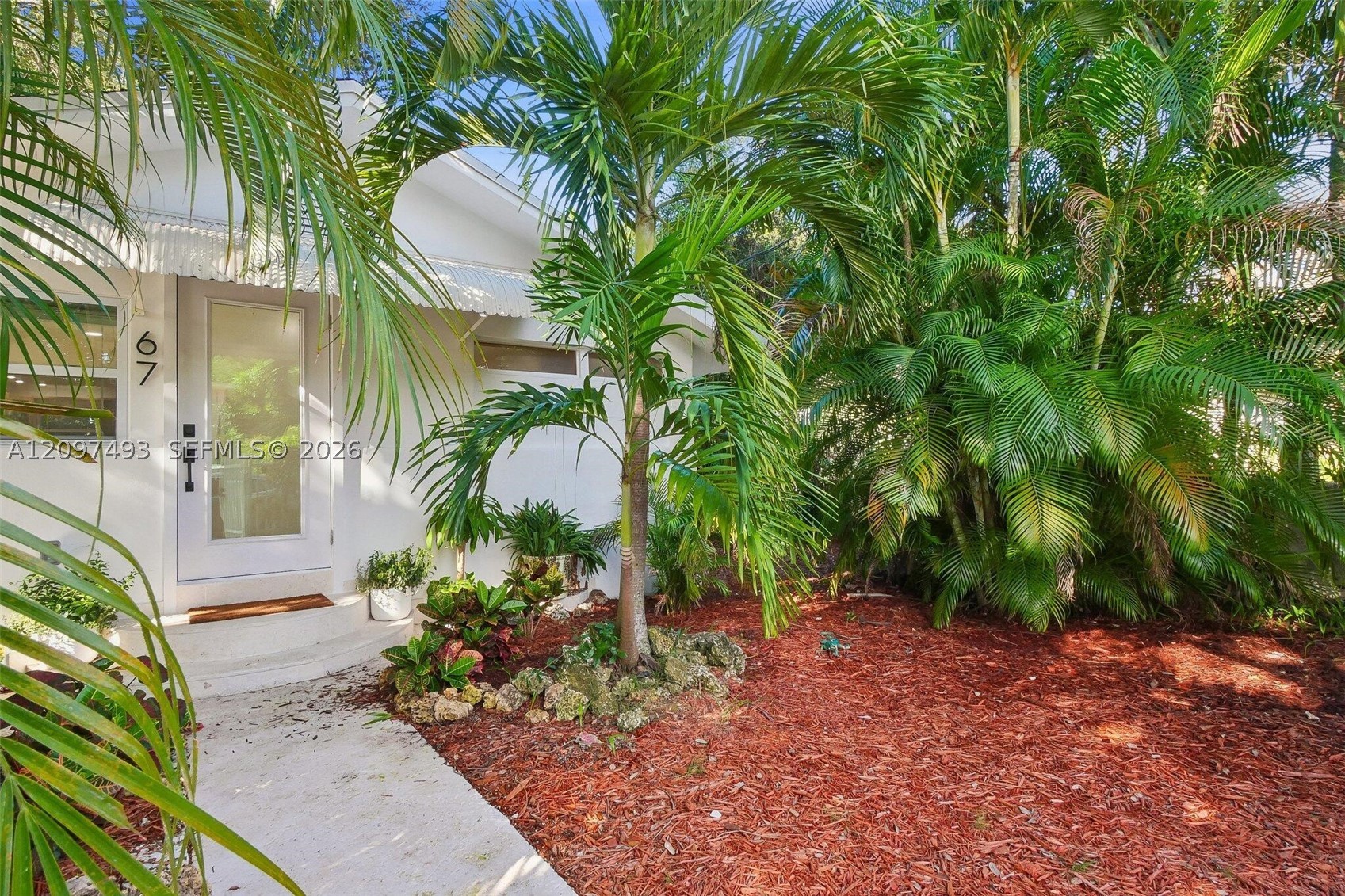Miami photo 2