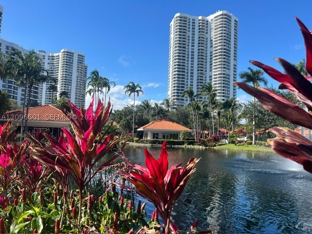 Aventura
