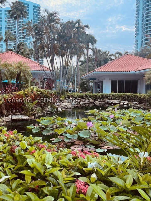 Aventura photo 5