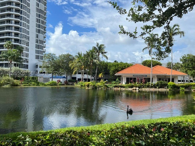 Aventura photo 4