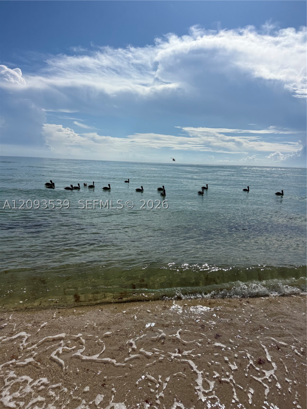 Sunny Isles Beach photo 3