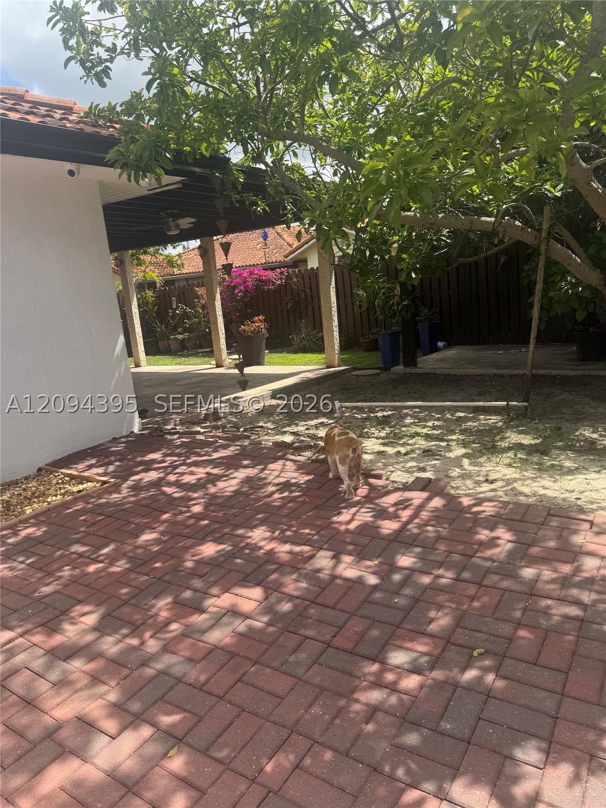 Miami photo 5
