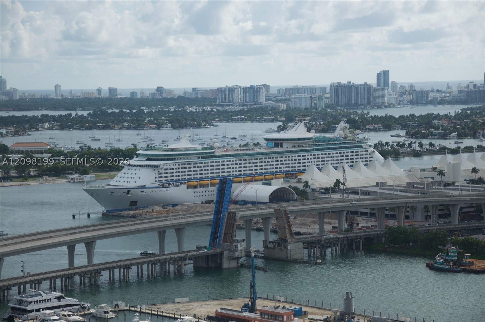 Miami photo 5