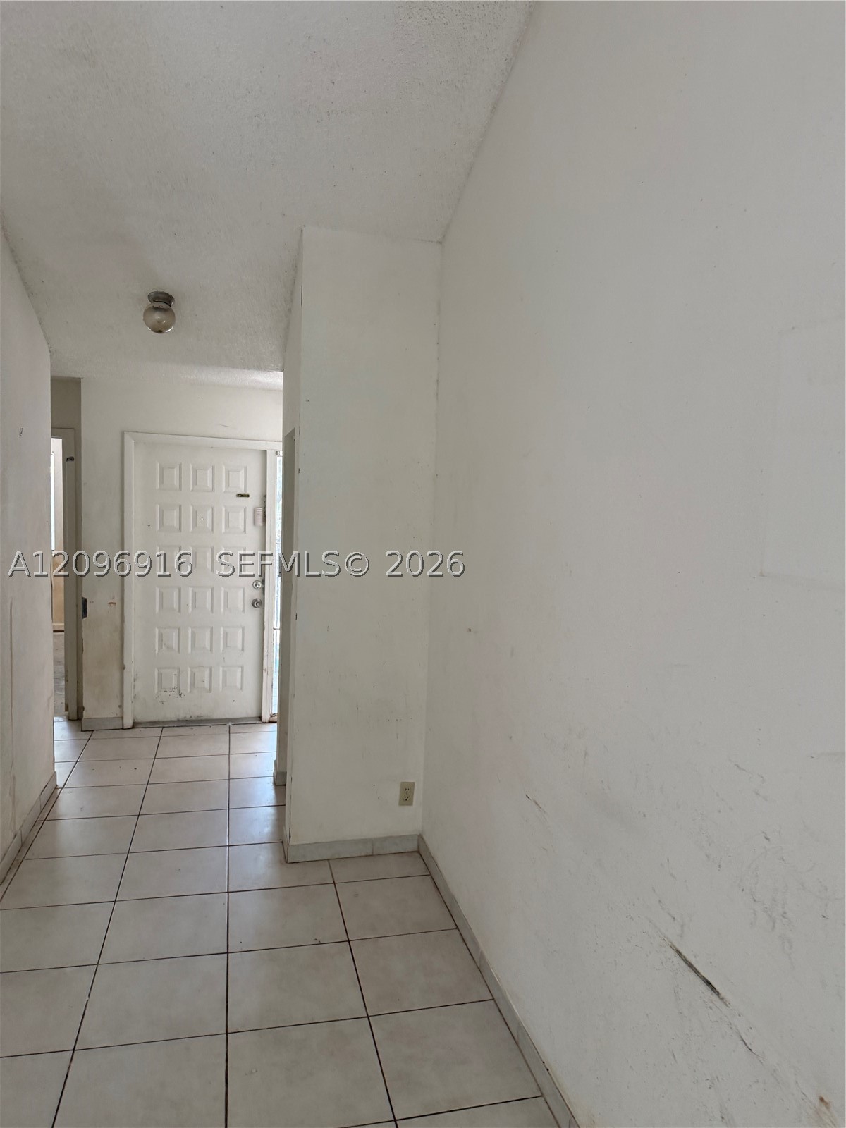 Miami photo 5