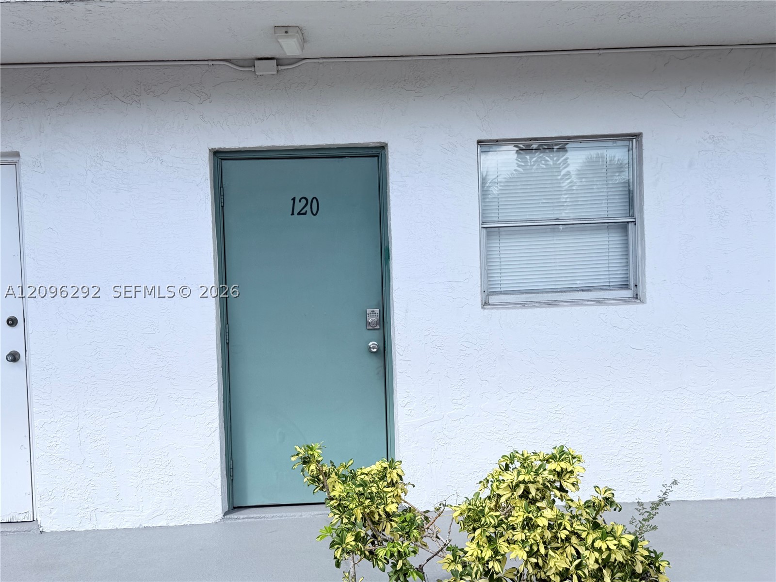 Deerfield Beach photo 3