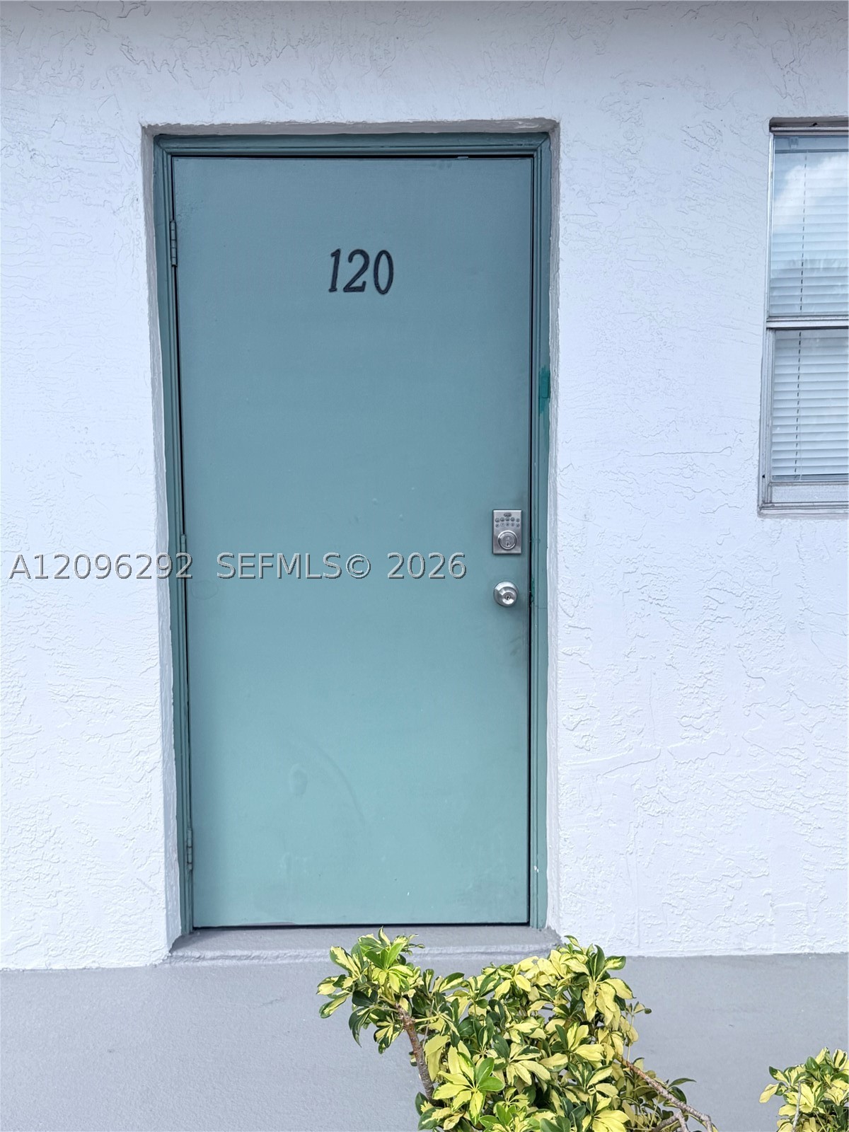 Deerfield Beach photo 5