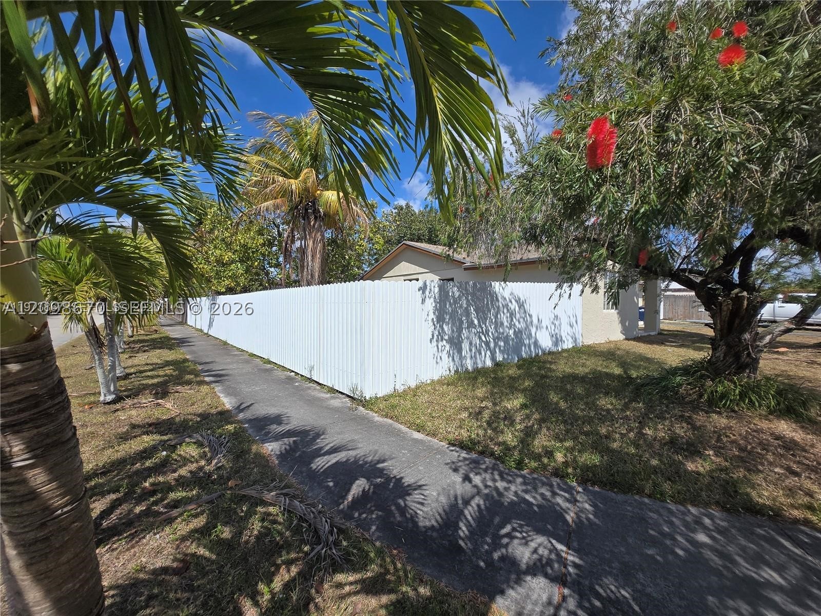 Miami photo 4