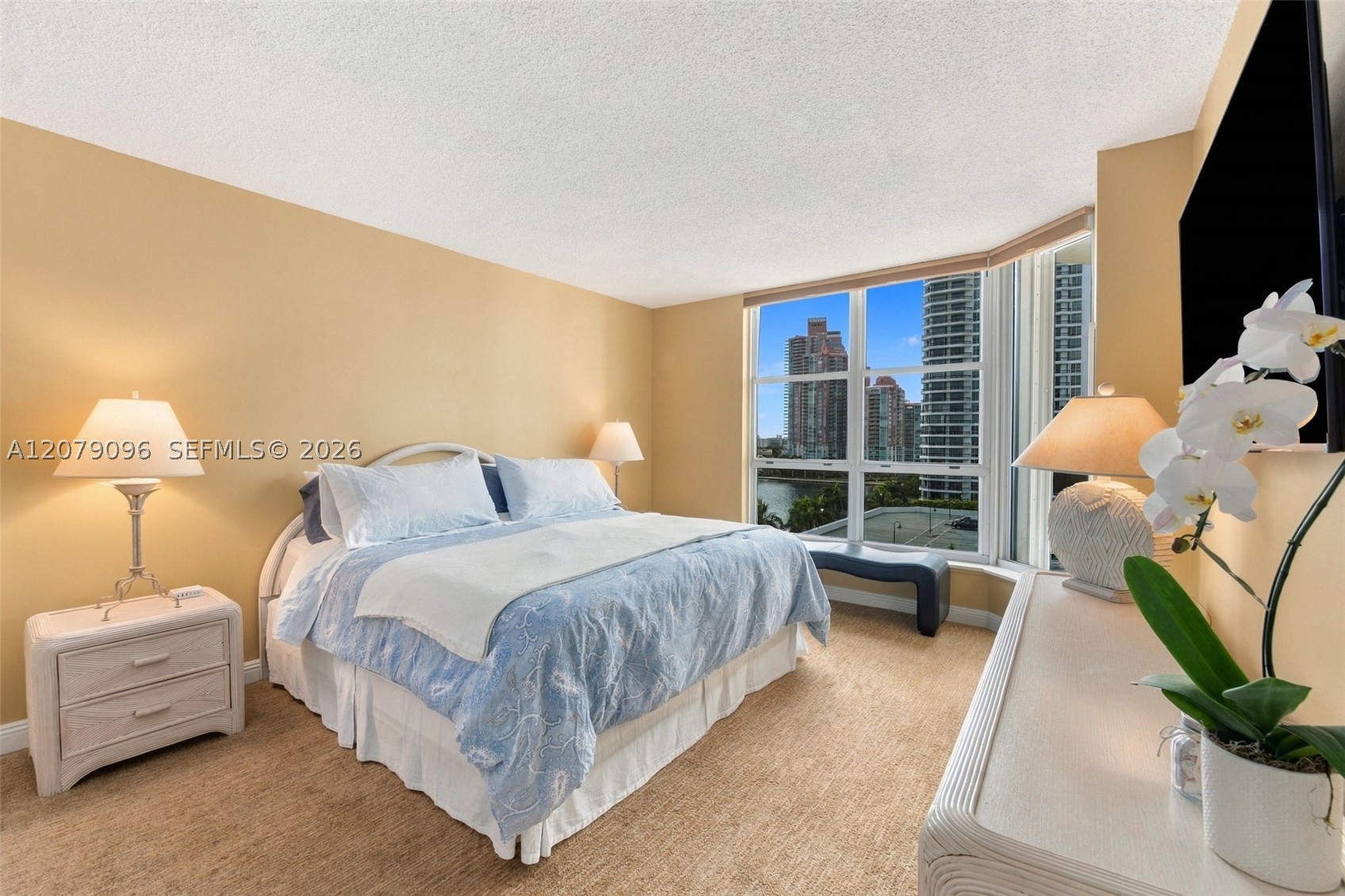 Aventura photo 5
