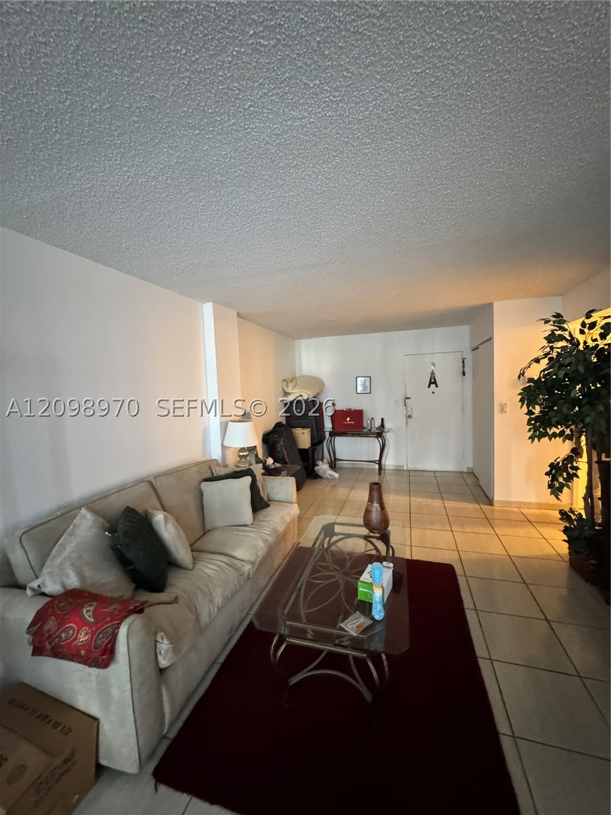 Hallandale Beach photo 4