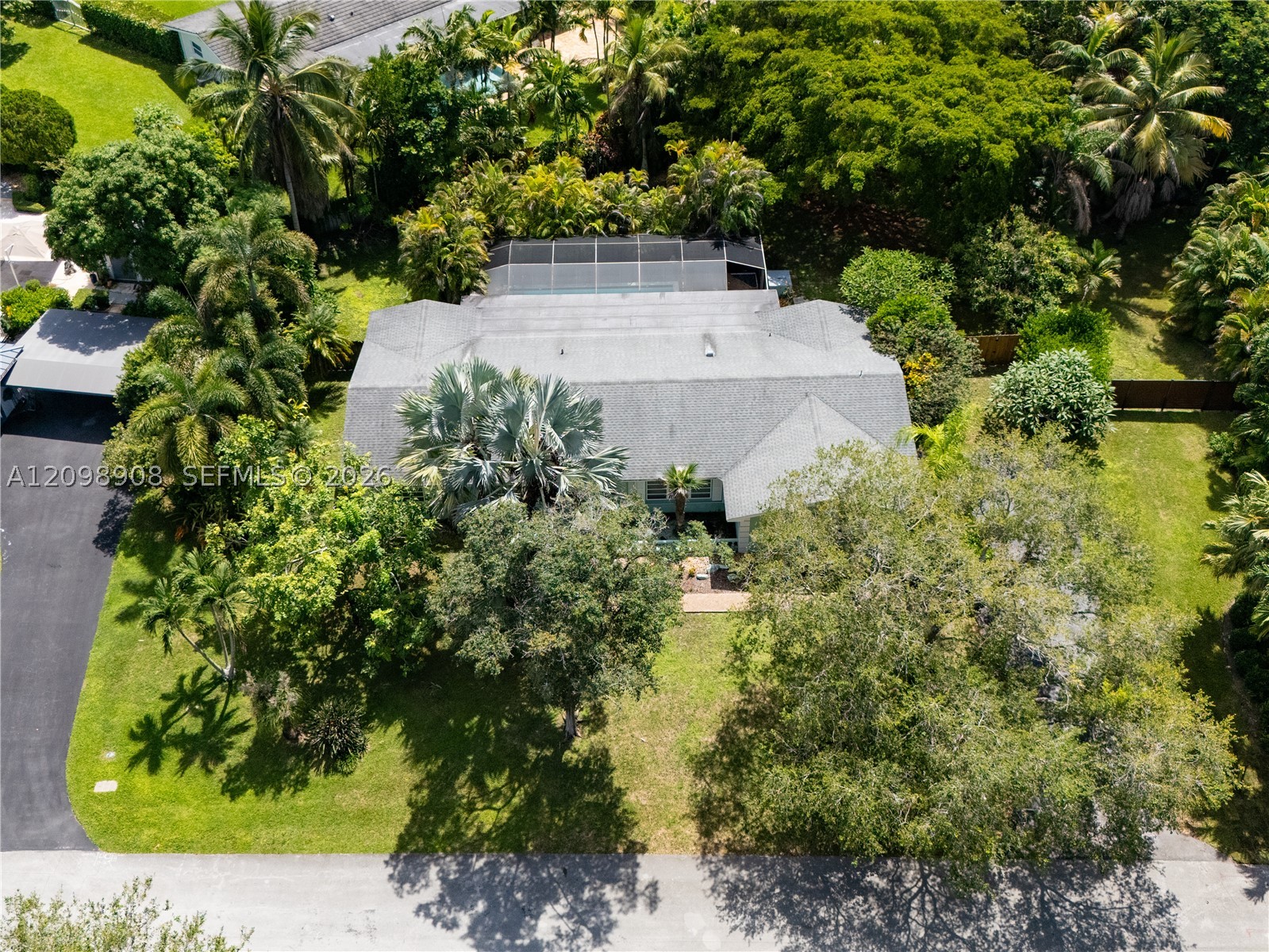 Miami photo 3