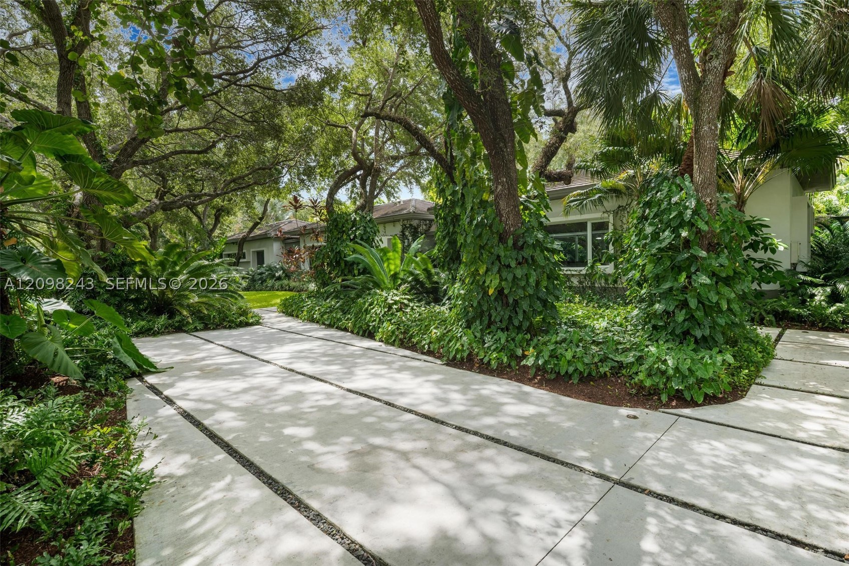Pinecrest photo 5