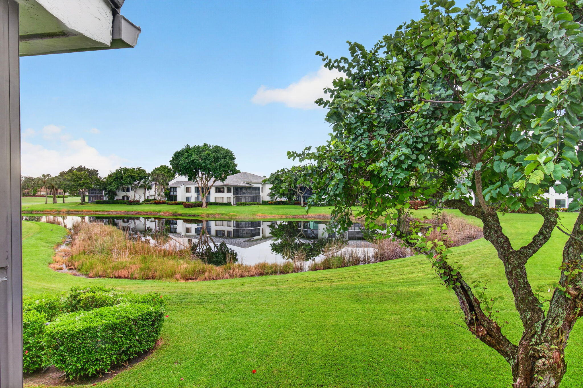 Delray Beach photo 5