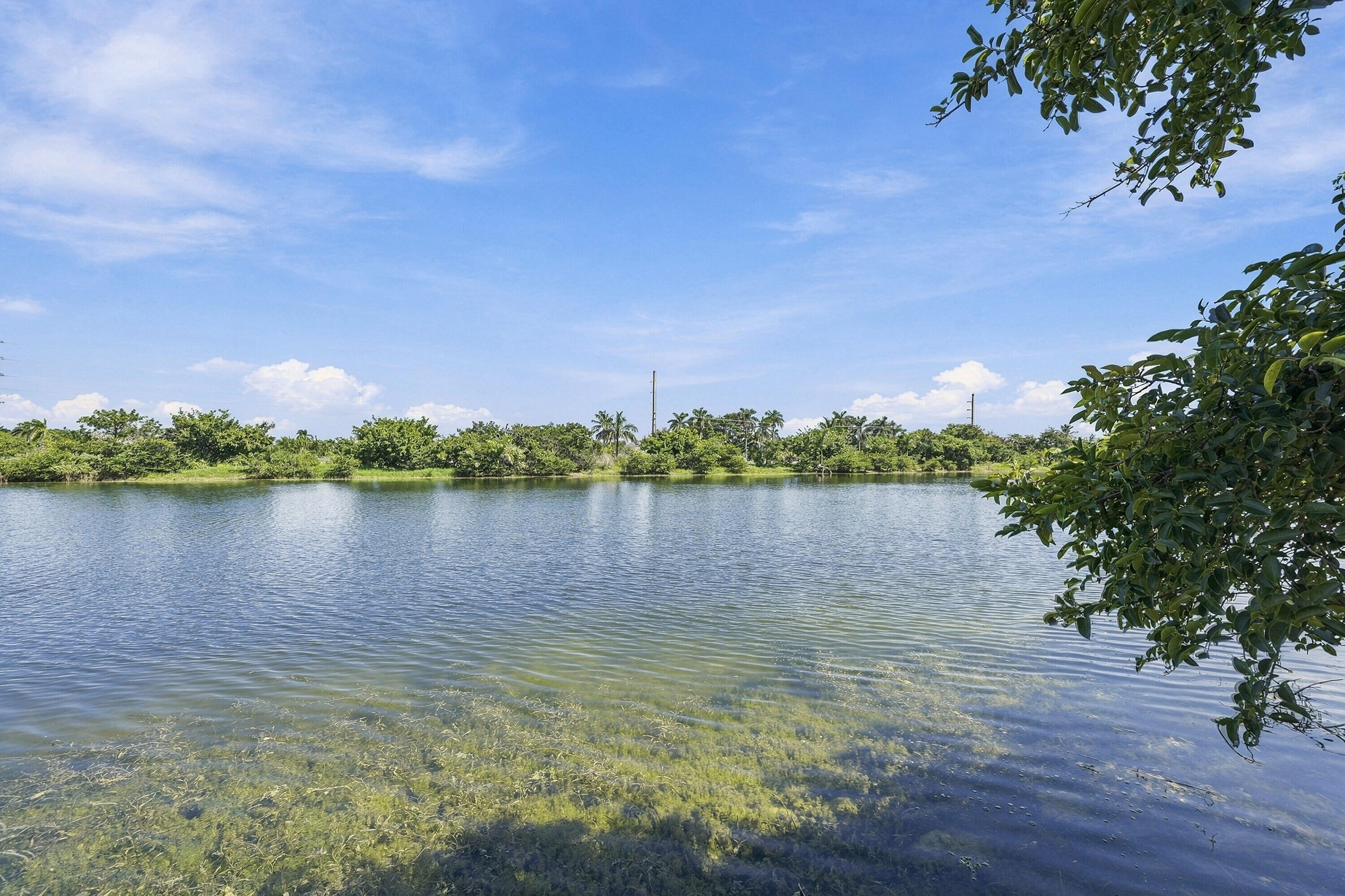 Cutler Bay photo 4