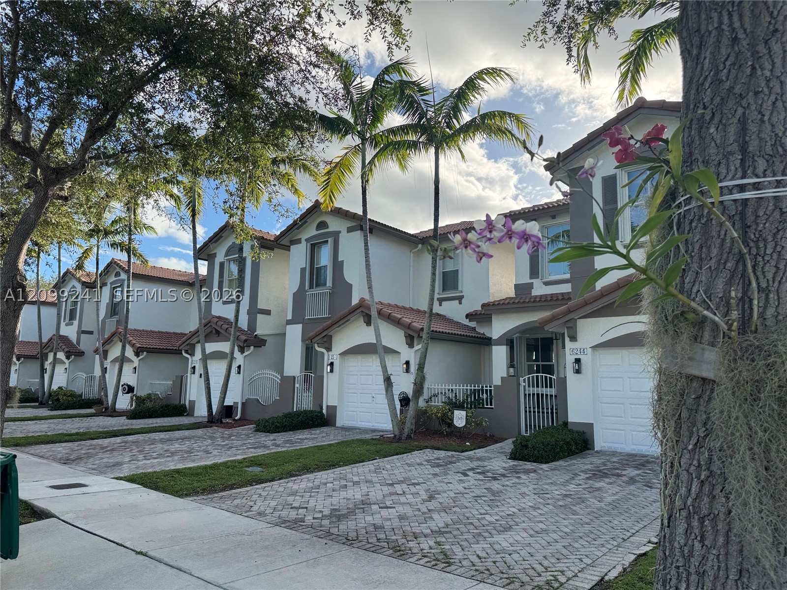 Miami photo 2