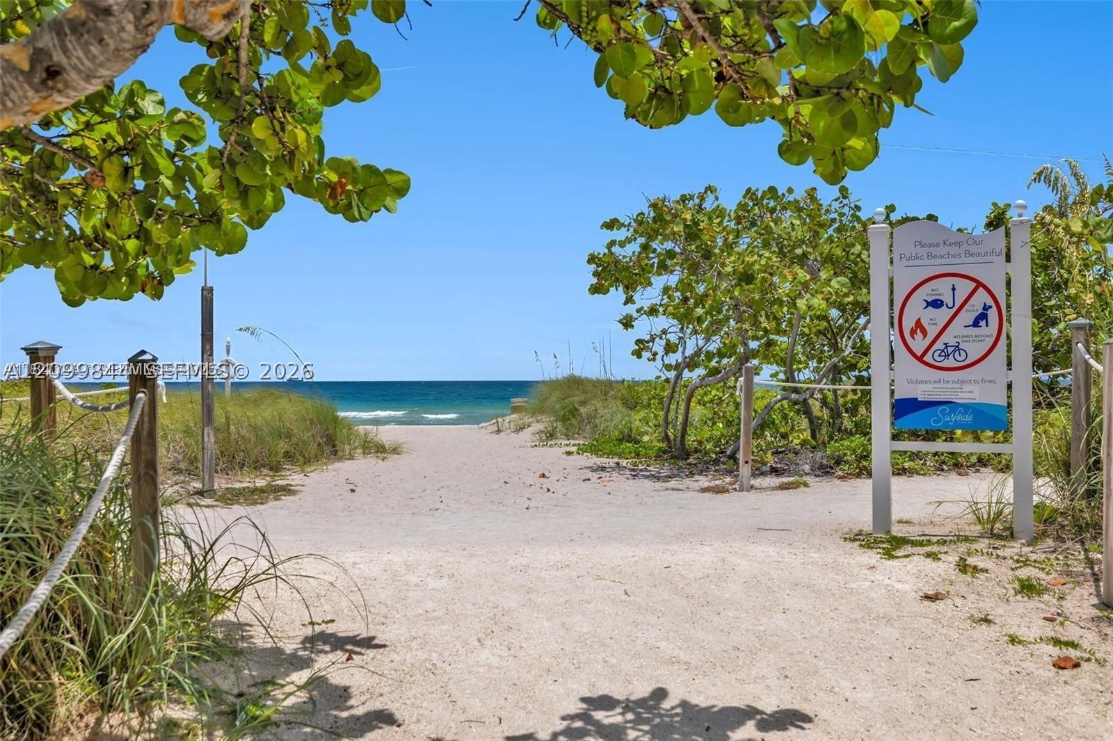 Surfside photo 3