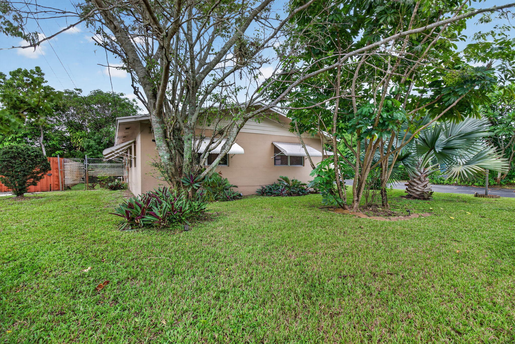 Plantation photo 2