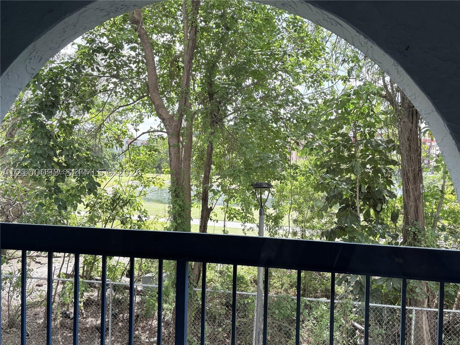 Miami photo 5