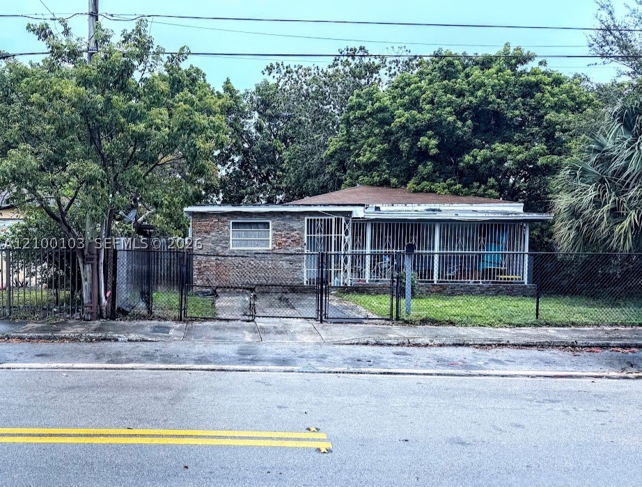 Miami photo 3