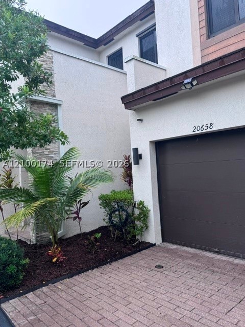 Miami photo 2