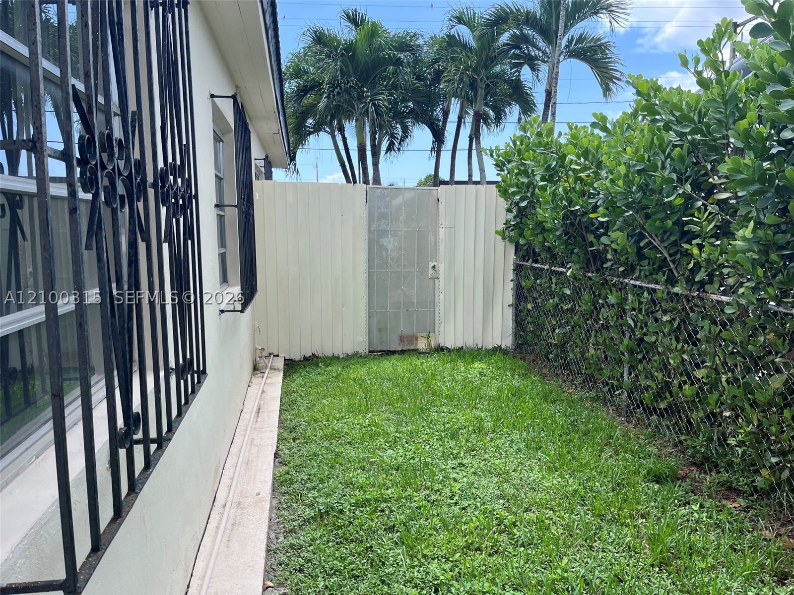 Miami photo 4