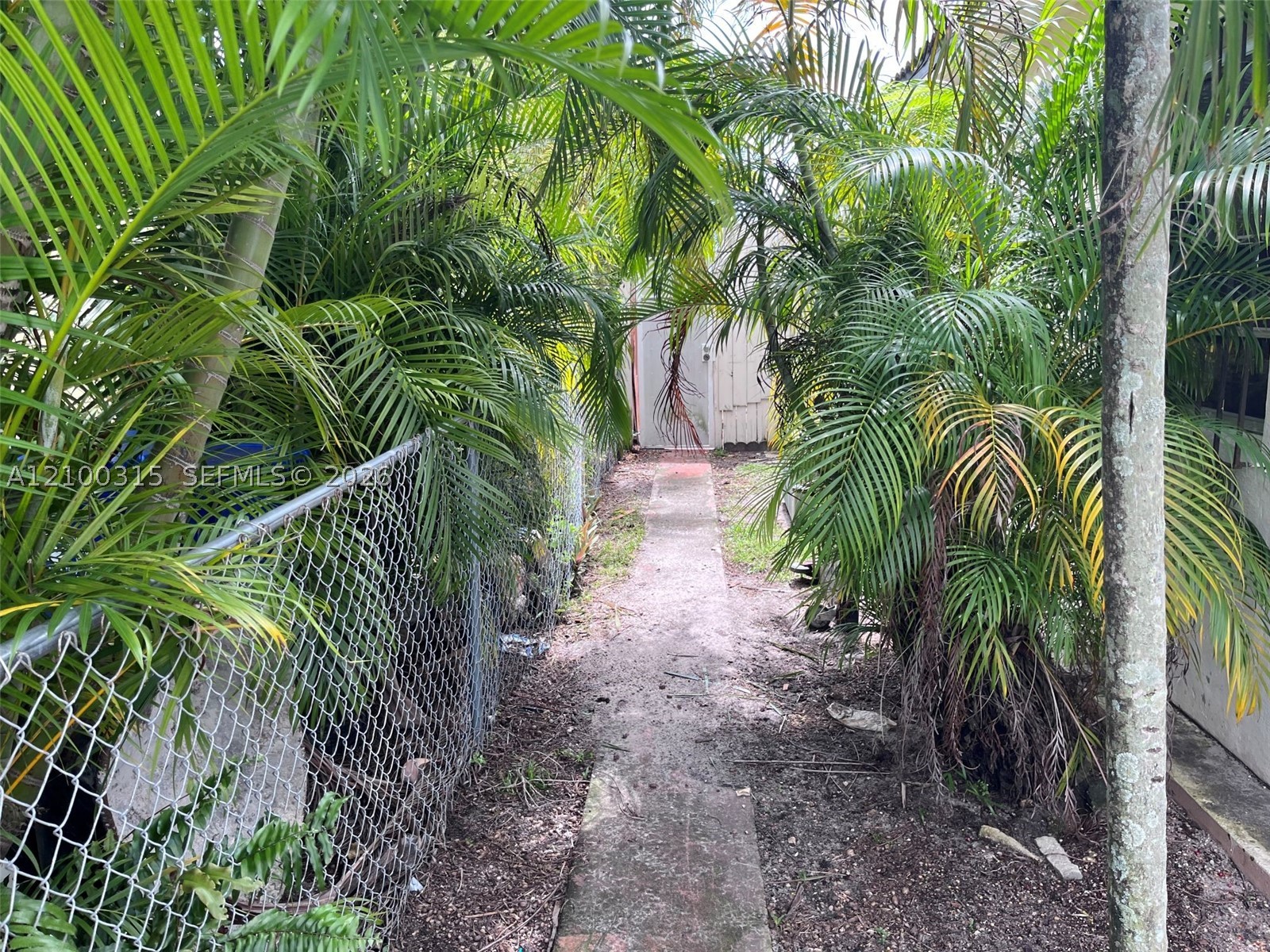 Miami photo 5