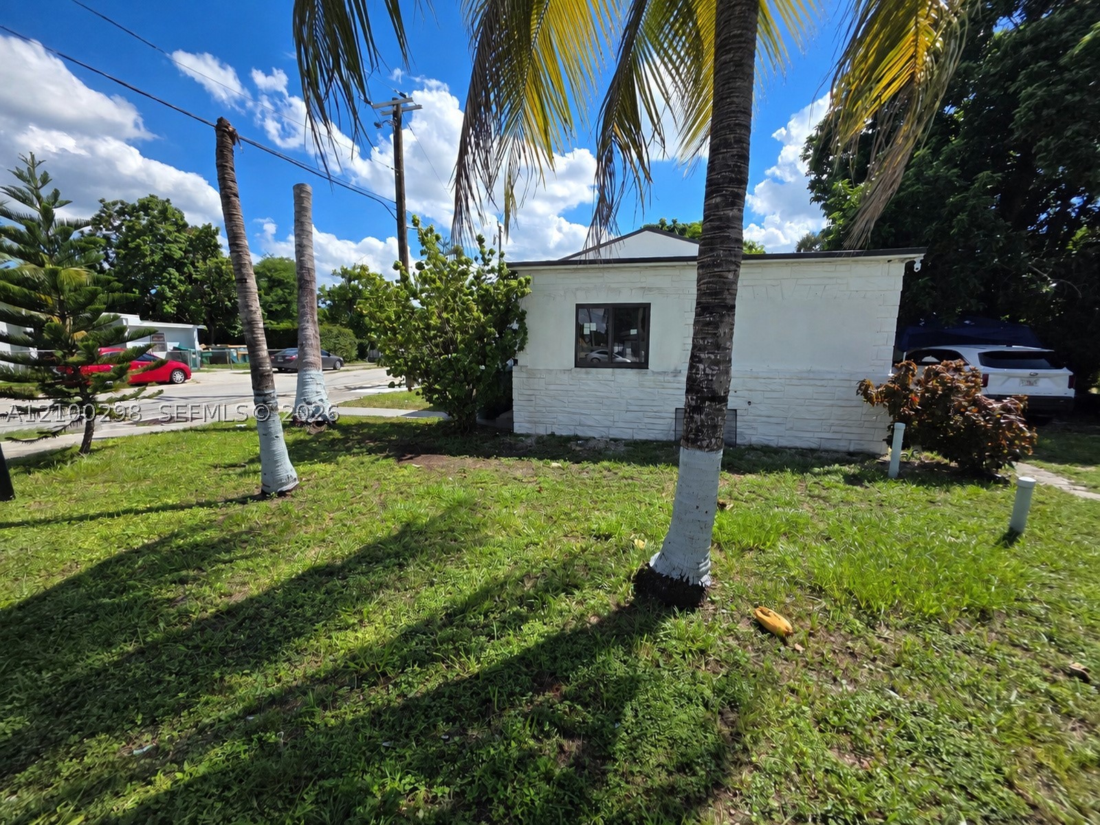 Miami photo 4