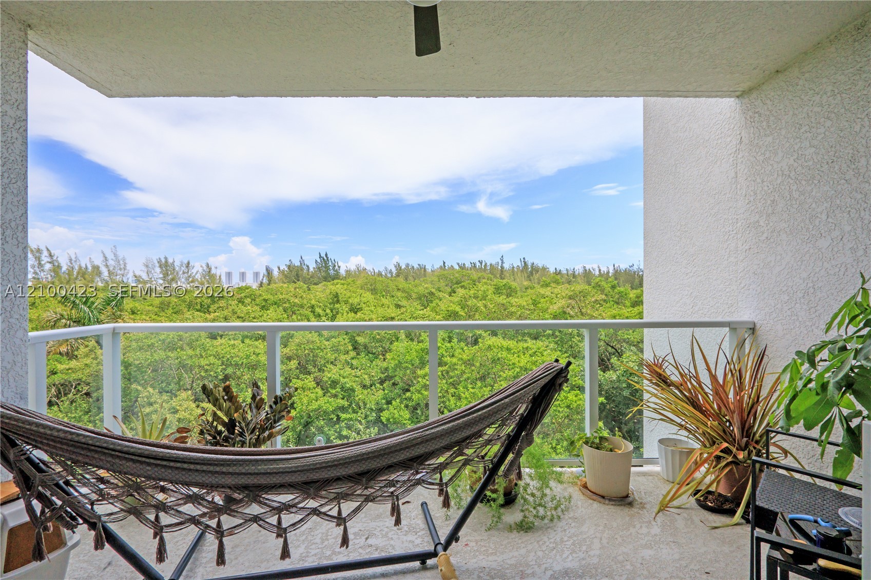 North Miami photo 3