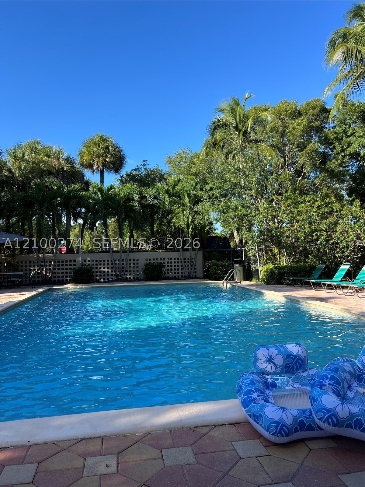 Miami photo 2